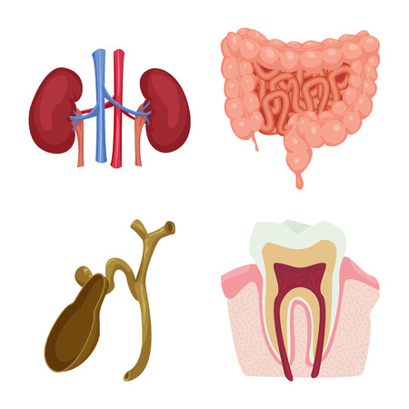 Materials Selection and Tool Preparation