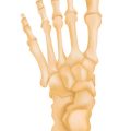 Early Intervention and Acute Management of Spinal Cord Injuries: Setting the Foundation for Rehabilitation