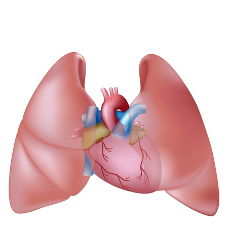 Voice Disorders in Adults: Symptoms, Diagnosis, and Management