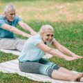 Comprehensive Guide to Therapeutic Exercise Programs in Physical Therapy: Evidence-Based Approaches for Rehabilitation