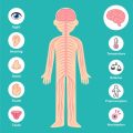 Innovative Therapeutic Approaches for PTSD: From Cognitive Behavioral Therapy to EMDR