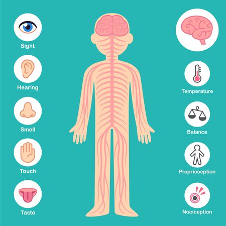Innovative Therapeutic Approaches for PTSD: From Cognitive Behavioral Therapy to EMDR