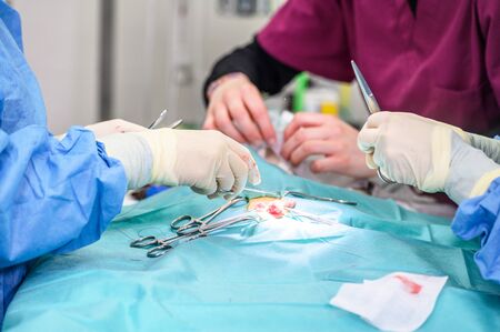 Essential Precautions and Home Strategies After Hip Replacement Surgery in America