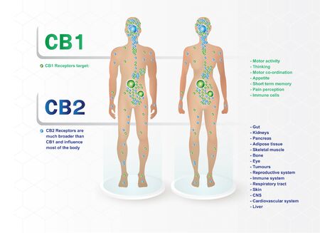 Personalized Treatment Planning