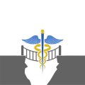 Multidisciplinary Teams in Spinal Cord Injury Rehabilitation: Roles, Collaboration, and Best Practices