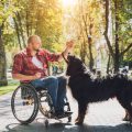 Utilizing Occupational Therapy to Enhance Daily Living for People with Parkinson’s Disease