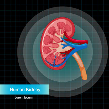 Cultural Considerations: Adapting Traditional American Foods for Cardiac and Pulmonary Health