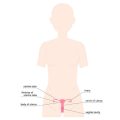 Common Complications After Tendon or Ligament Surgery and Their Impact on Rehabilitation