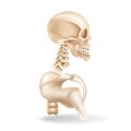 Comprehensive Overview of Neurological Rehabilitation for Traumatic Brain Injury in the United States