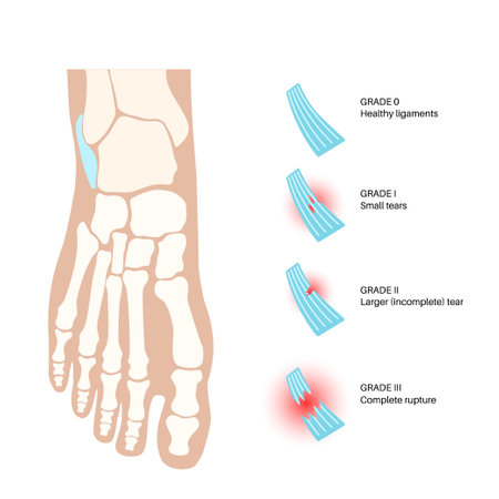 Common Challenges in Rotator Cuff Rehabilitation and How to Overcome Them