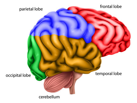 Navigating Educational Systems and IEPs for Students with Cerebral Palsy in the United States