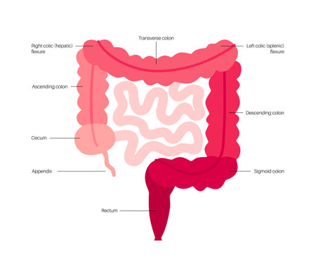 A Comprehensive Guide to Aphasia: Types, Assessment, and Recovery in Adults