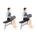 The Comprehensive Guide to Physical Therapy for Sports Injury Recovery in the USA