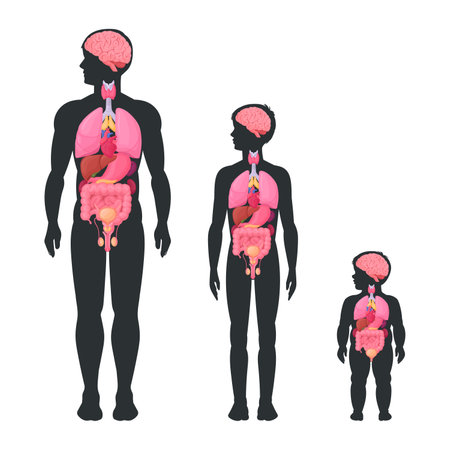 The Importance of Early Mobilization in Post-Surgery Physical Therapy Programs
