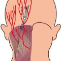Cultural Considerations and Health Disparities in Parkinson’s Disease Therapy in the U.S.