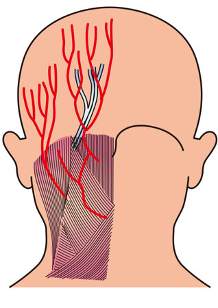 Cultural Considerations and Health Disparities in Parkinson’s Disease Therapy in the U.S.