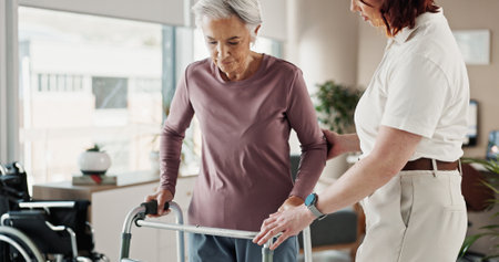 Comprehensive Guide to Joint Replacement Recovery for Older Adults: Hip, Knee, and Shoulder