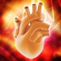 Understanding the Role of Nutrition in Cardiac and Pulmonary Rehabilitation: American Guidelines and Practical Implications