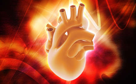 Understanding the Role of Nutrition in Cardiac and Pulmonary Rehabilitation: American Guidelines and Practical Implications