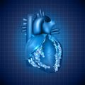 Balancing Macronutrients for Heart Health: Protein, Carbohydrates, and Fats in the American Diet