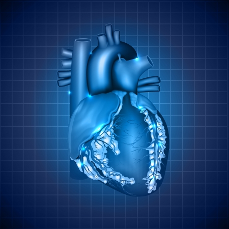 Balancing Macronutrients for Heart Health: Protein, Carbohydrates, and Fats in the American Diet