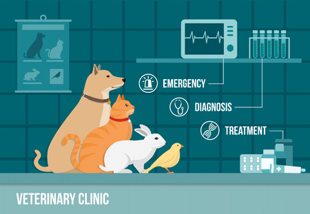 From Acute Care to Outpatient Therapy: Navigating the TBI Continuum of Care in America