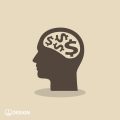 Cognitive Rehabilitation for Aging Populations: Addressing Memory and Attention Deficits