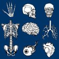 Navigating the American Healthcare System after Spinal Cord Injury: Resources, Insurance, and Support
