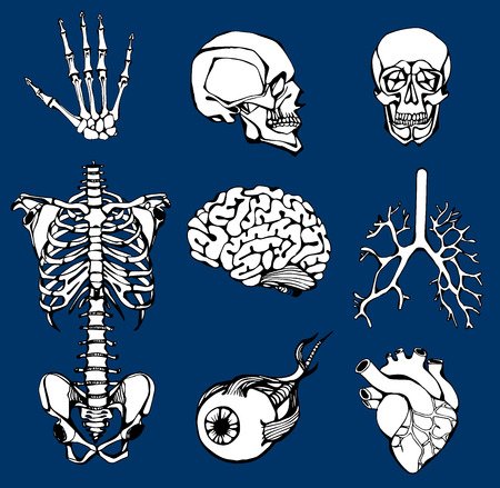 Navigating the American Healthcare System after Spinal Cord Injury: Resources, Insurance, and Support