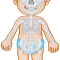 Patient Safety and Best Practices for Electrical Stimulation Therapy: An Evidence-Based Approach