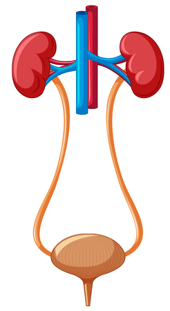 Dual Diagnosis: Treating Co-Occurring Substance Use and Mental Health Disorders