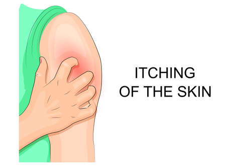 Understanding the Stages of Bone Healing in Americans: What Every Patient Should Know
