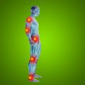 Telehealth in Back and Spine Rehabilitation: Remote Solutions for Modern Patients