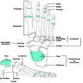 How Occupational Therapists Assess and Prescribe Assistive Technology for Clients in the United States