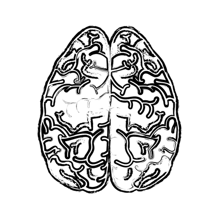 Speech Rehabilitation Strategies