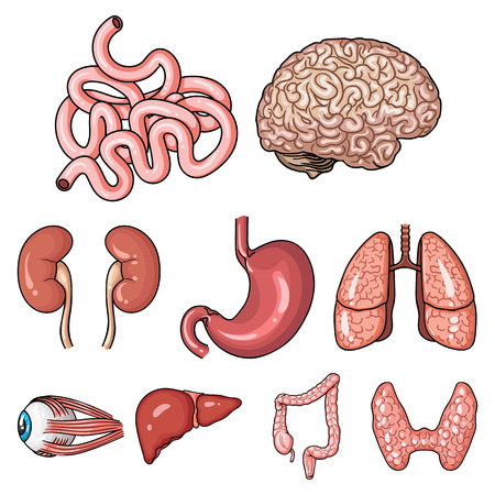 Components of Specialized Adolescent Recovery Programs