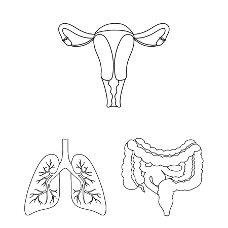 Texture-Modified Diets and Safe Swallowing Practices